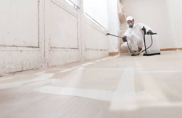 24/7 Emergency Black Mold Removal experts in Long Branch, NJ